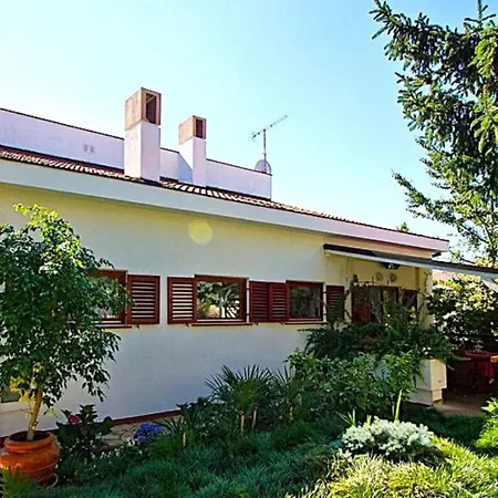 Botanica By Guide Villa Pjescana Uvala