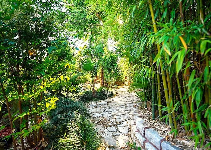 Villa Botanica By Guide Pjescana Uvala